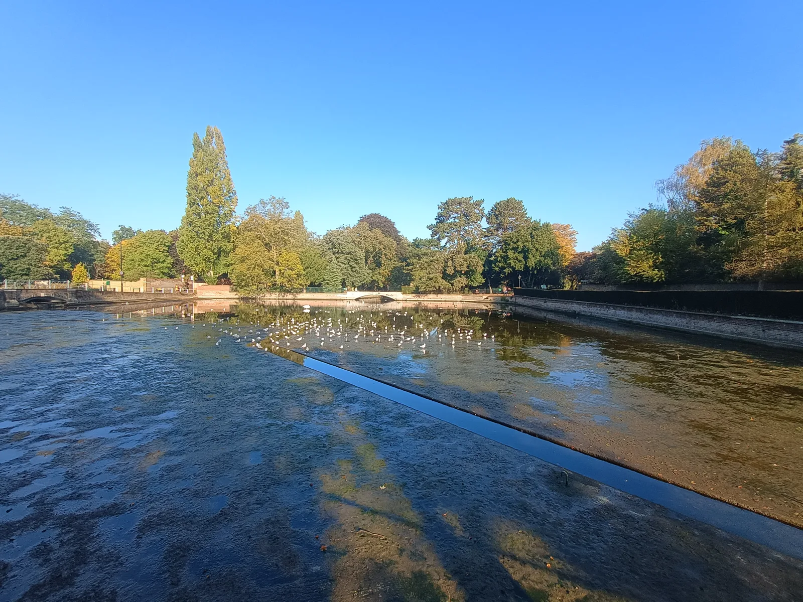 The drained bed of Carshalton Ponds, in a picture published by Sutton Council with its updates on the water loss
